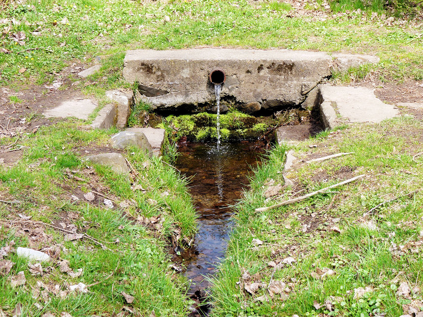 studánka bez jména (2102)