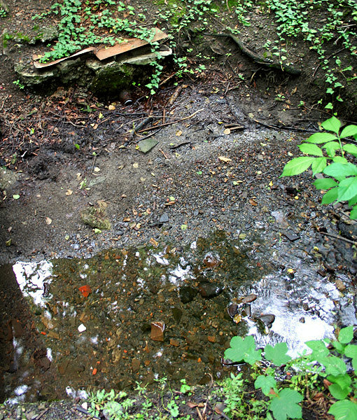 studánka U viaduktu (2107)