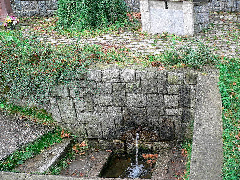 studánka bez jména (2111)