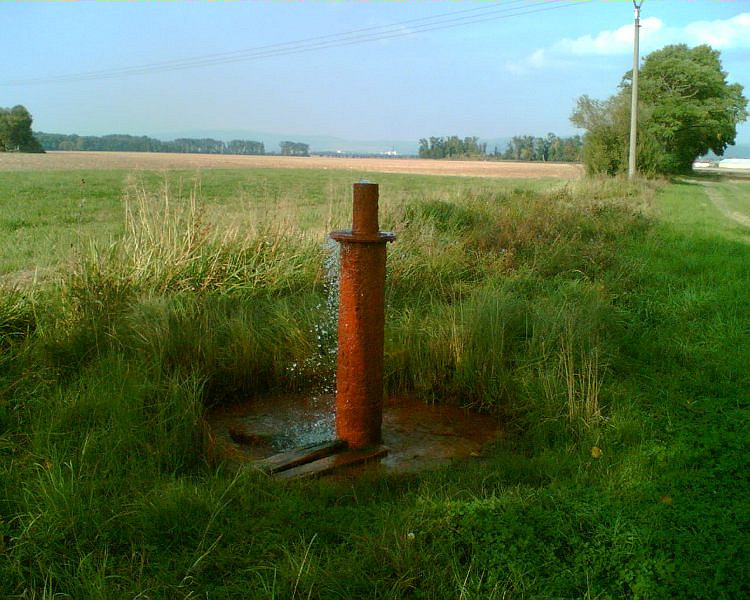 vrt Černovírské slatiniště 2 (2117)