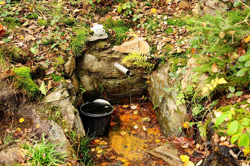 Lesní studánka (2121)