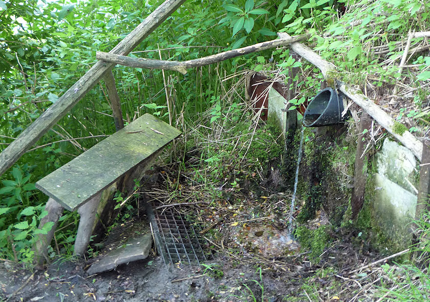 studánka bez jména (2123)