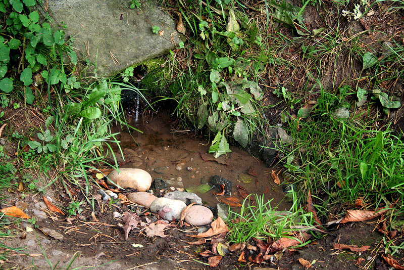 studánka U Eremita (2126)
