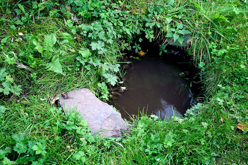 studánka bez jména (2127)