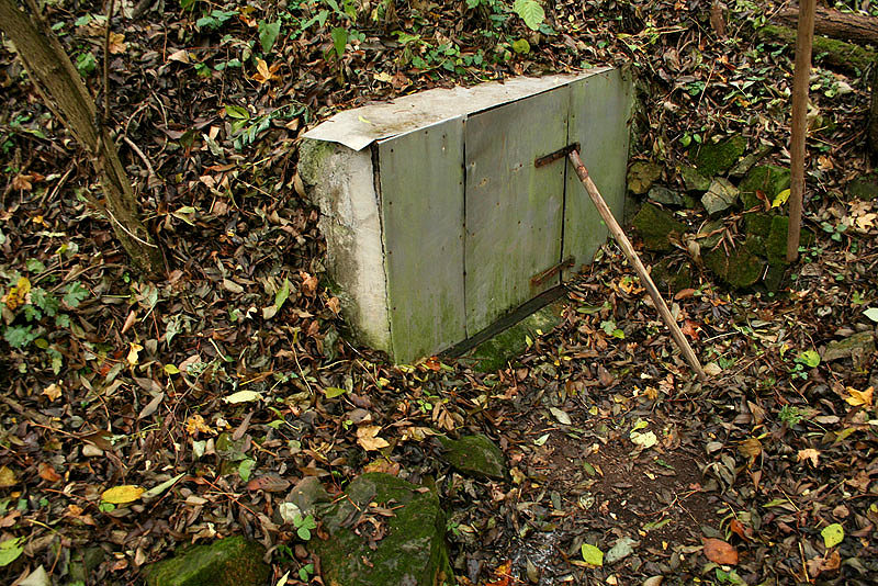studánka V Luhu (2128)