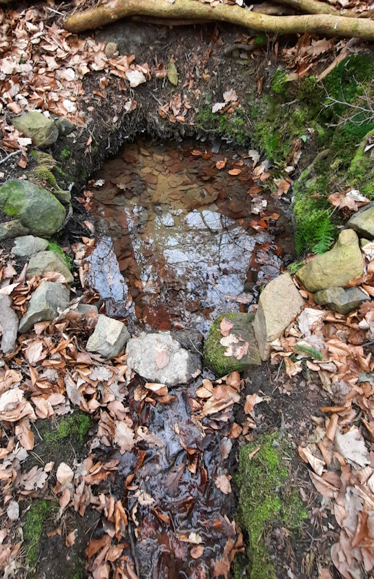 studánka bez jména (2168)
