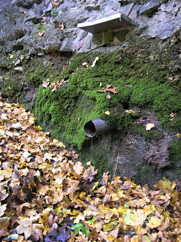 studánka bez jména (2174)