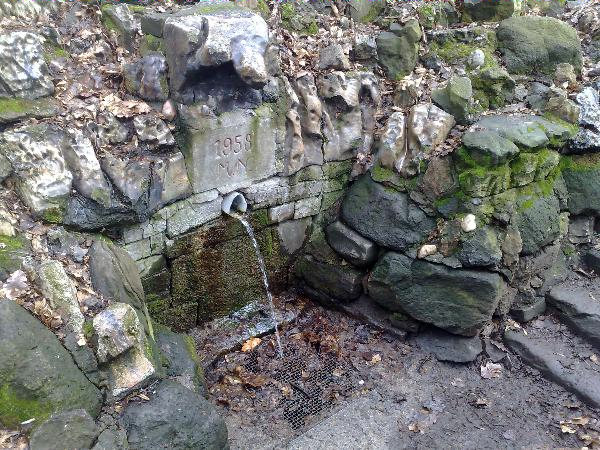 Střížovická studánka (2185)