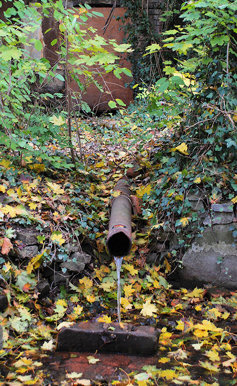 studánka Hajnovka (2194)
