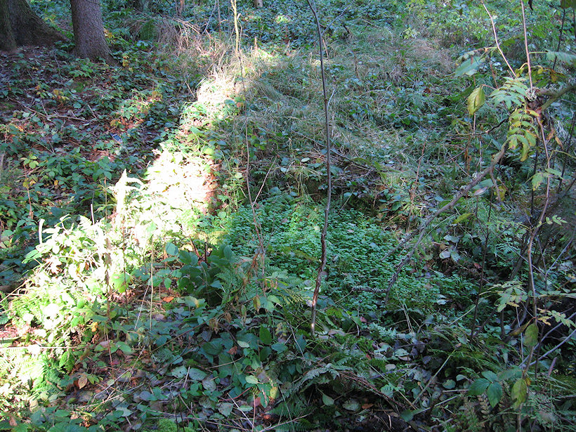 studánka Bartačina (2195)