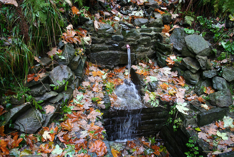 studánka Pod Ostrou (2203)