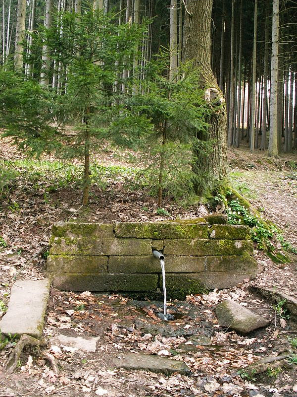 studánka bez jména (2205)