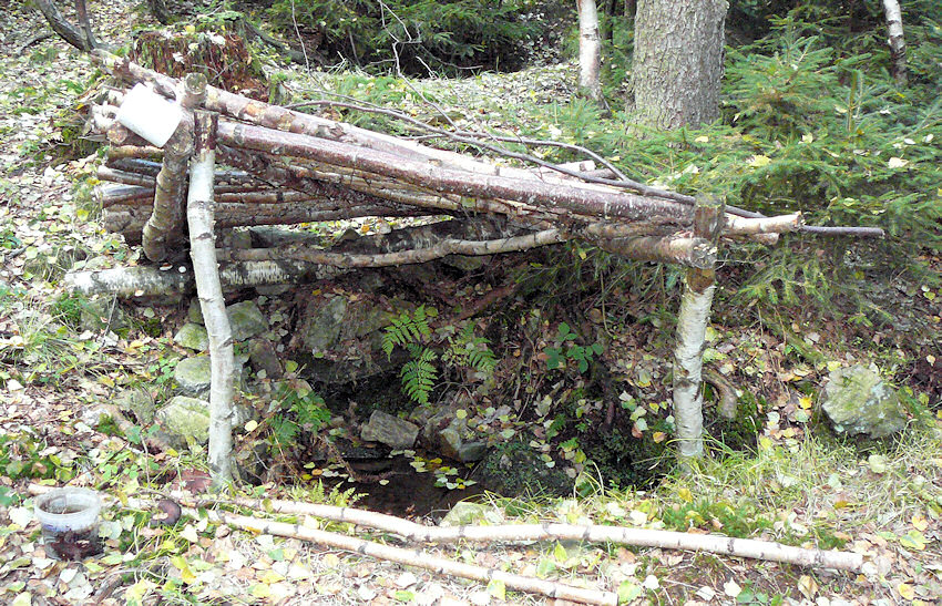 studánka bez jména (2226)