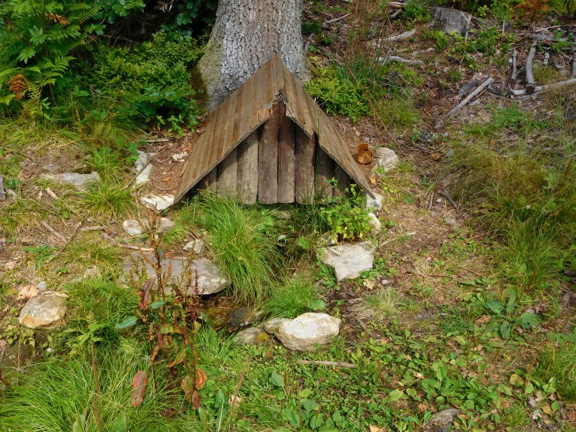 Lesní studánka (2227)