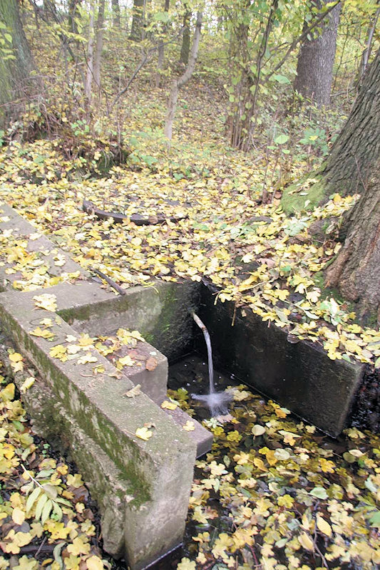 studánka Valcha (2231)