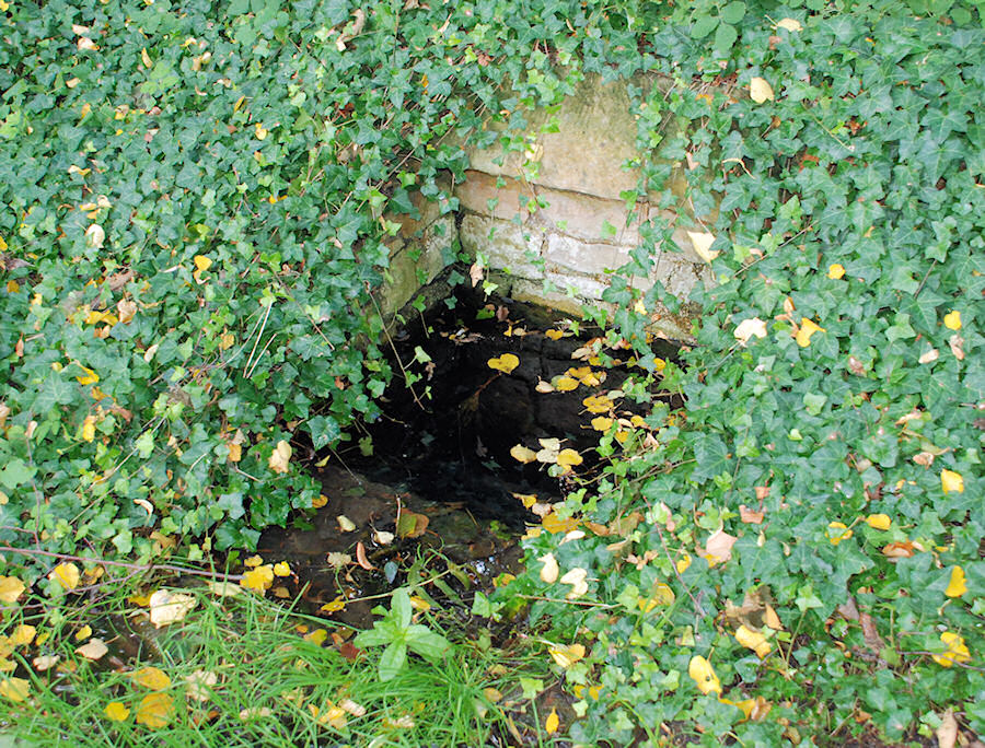 Ctěnická studánka (2252)