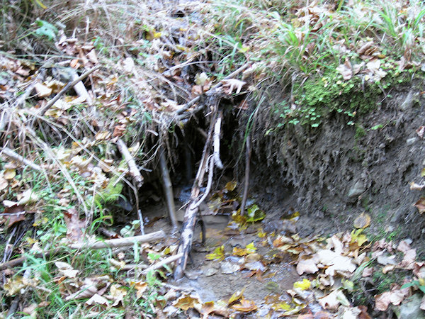 prameniště Potůčky (2258)