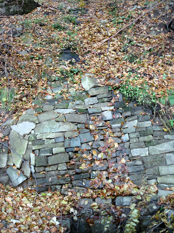 prameniště Bučník (2280)