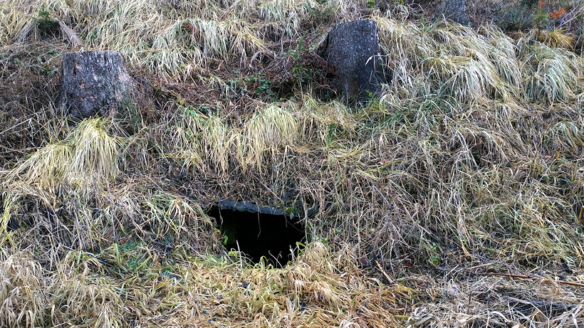 studánka U Syrovského mostu (2288)