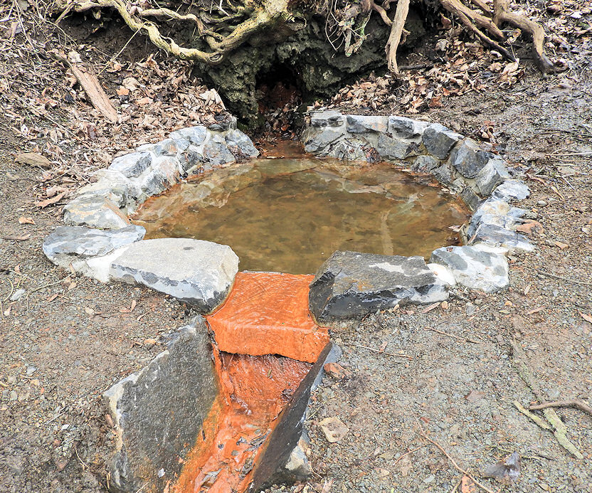 studánka Korek (2293)