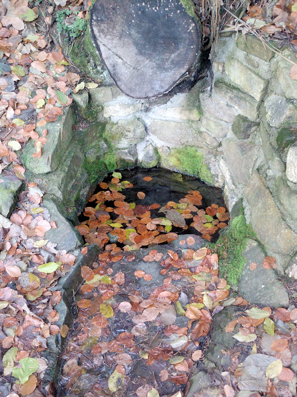 studánka U Rocha (2295)