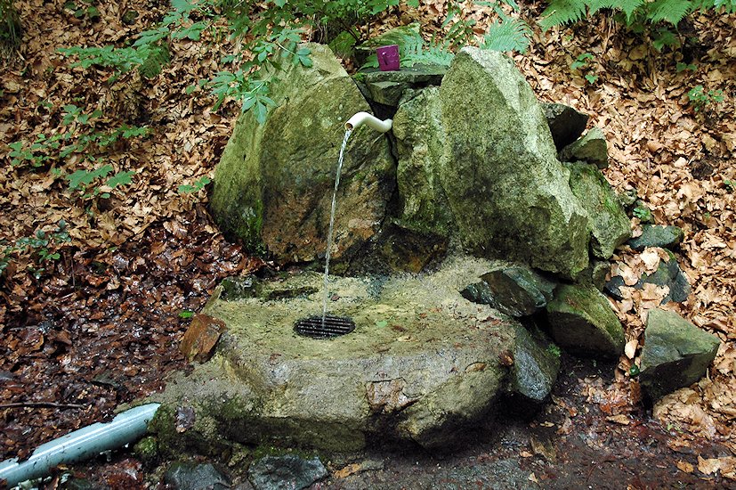 studánka V Pekle (2321)