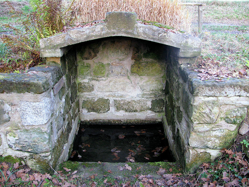 studánka bez jména (2325)