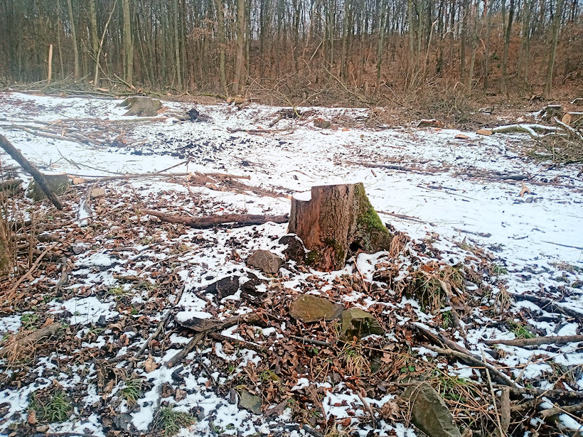 prameniště Skřipov (2337)