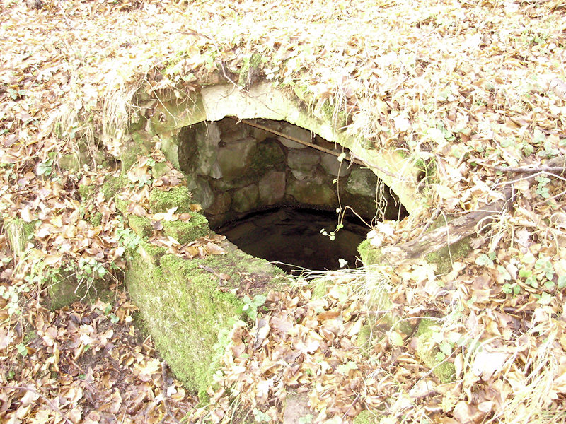 Studánka sv.Jana (2358)