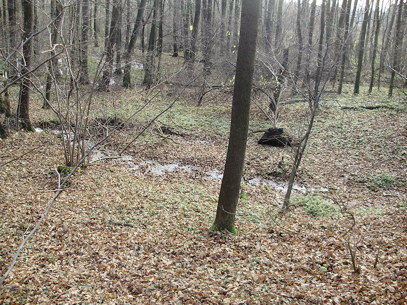 prameniště U Olší (2359)