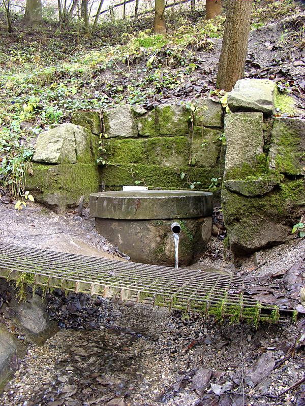 studánka Zdravá voda (2374)