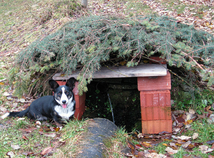 studánka U Burešové (2376)