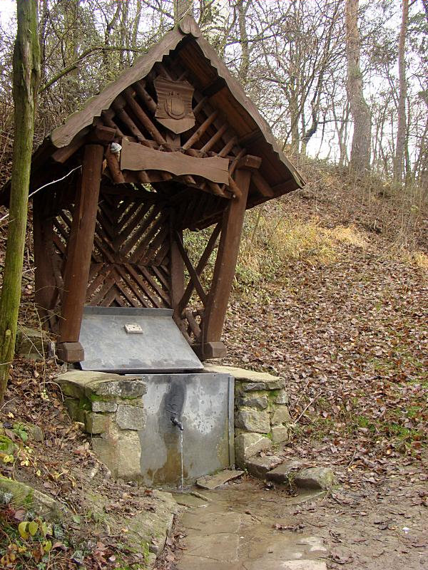 studánka Pod Romenovem (2381)