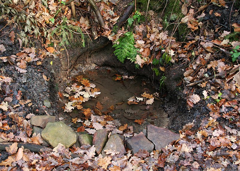 studánka V Makytí (2397)