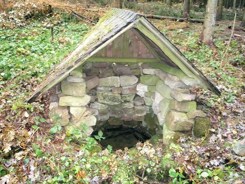 studánka Spálenisko (2409)