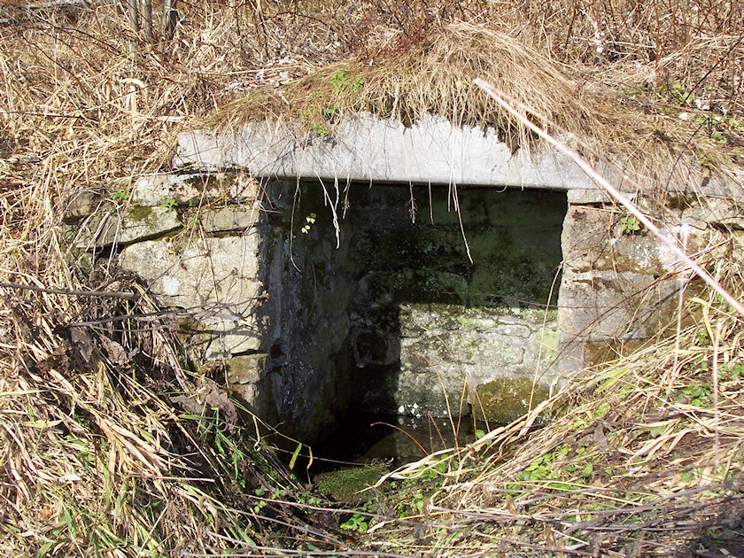 studánka Skalíková louka (2419)
