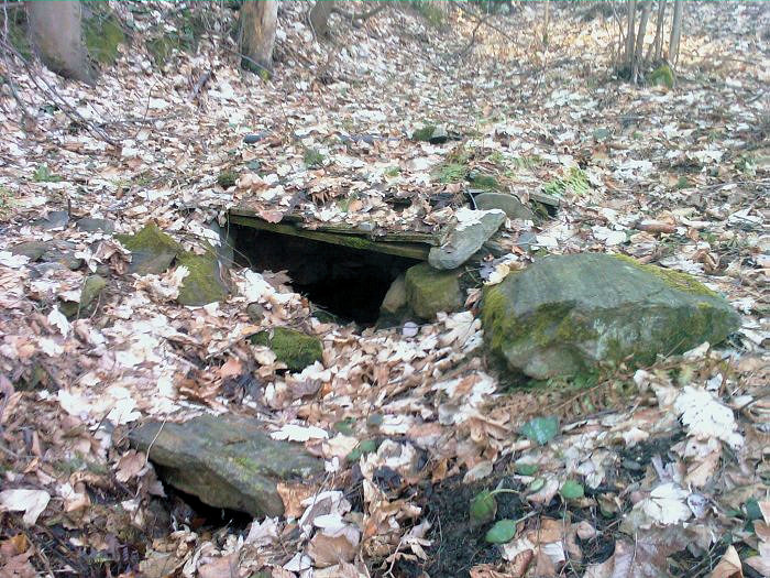 studánka Blatná hráz (2424)