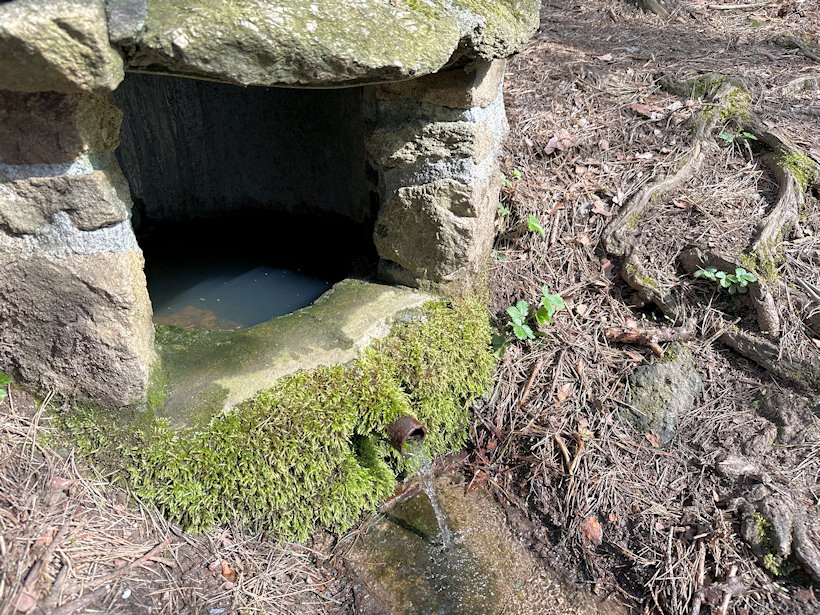 studánka Lubí (2437)