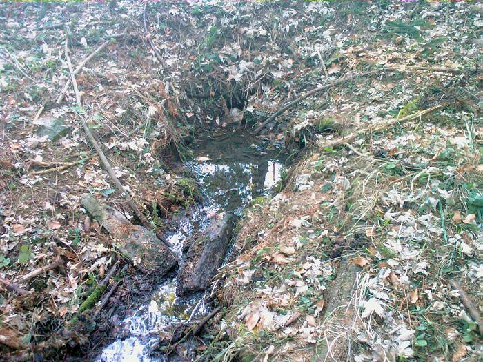 studánka bez jména (2438)