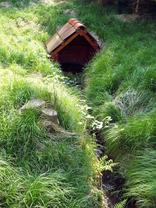 studánka bez jména (2444)