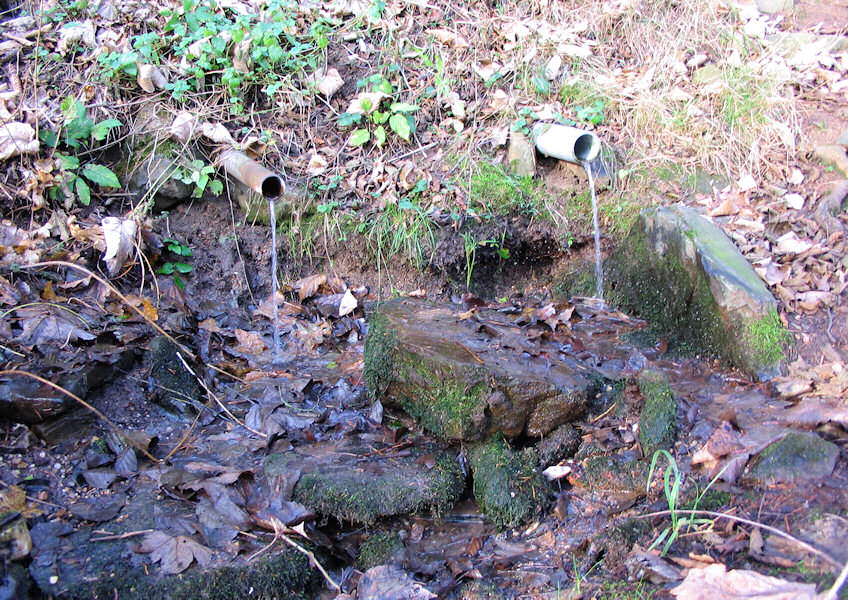 studánka U Stráže (2447)
