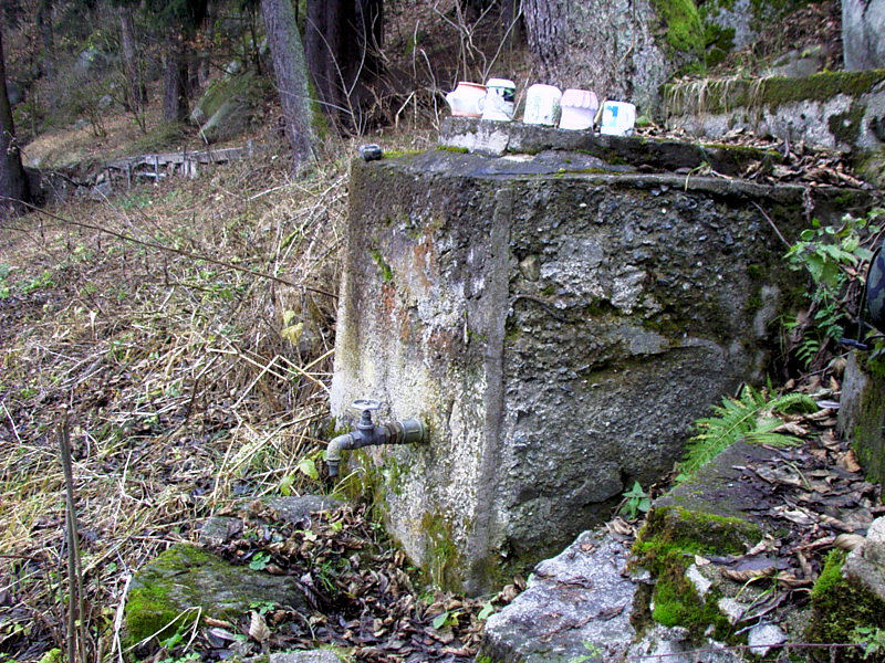 studánka bez jména (2448)
