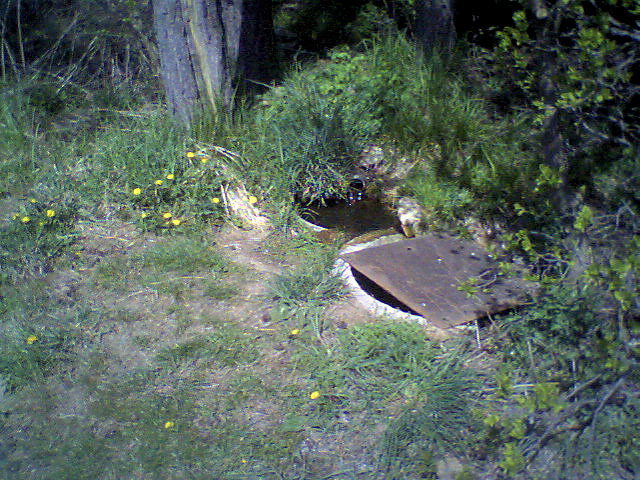 studánka Nová Ves - Podhájí (2453)