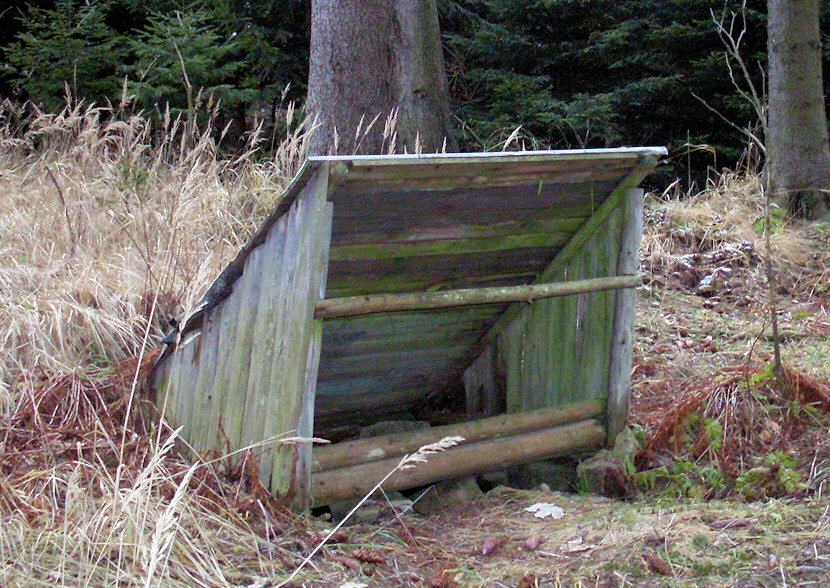 studánka Svatoslav - U Buku (2465)