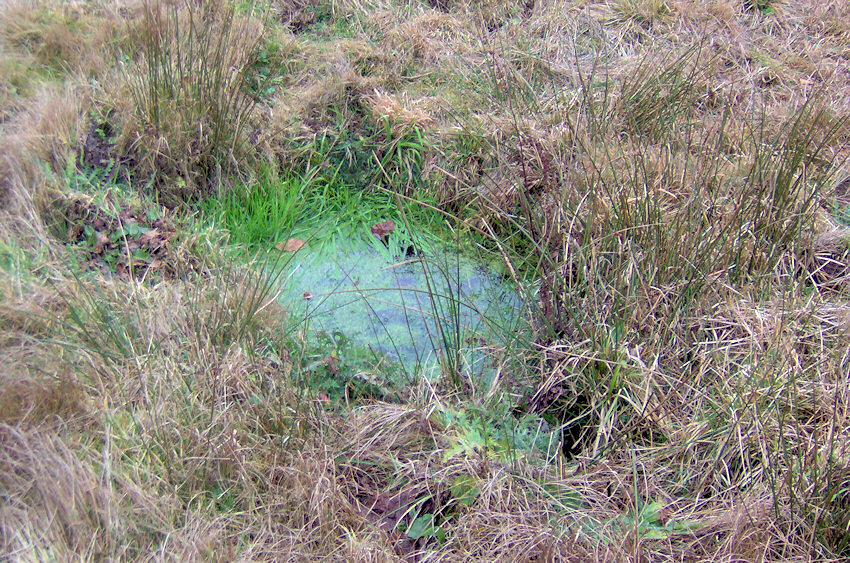 studánka Zašovice (2469)
