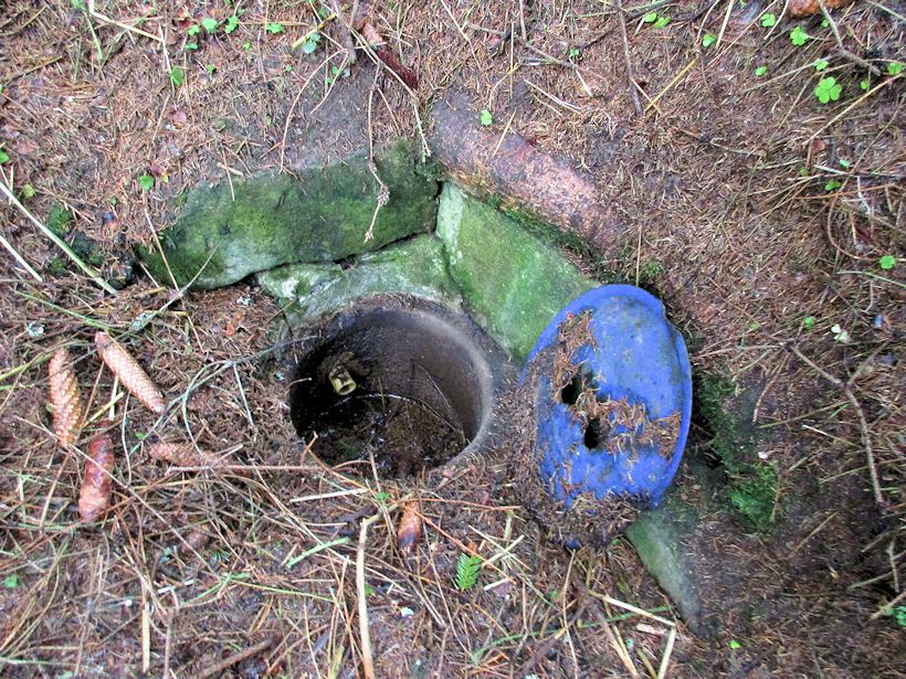 studánka bez jména (2477)