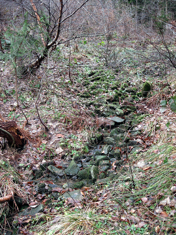 prameniště Pod Pastorkem (2486)