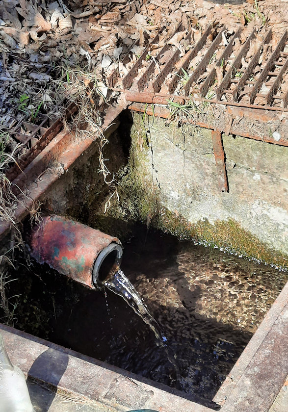 studánka U plotu (2499)