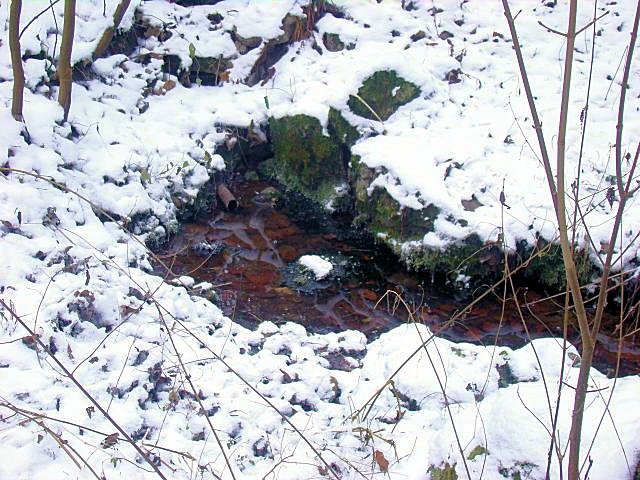 studánka U Kateřinského mostu (2502)