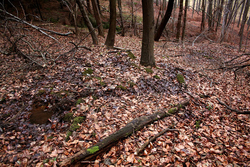 prameniště Pod Ocasem (2510)
